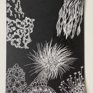 Sous marine noir et blanc